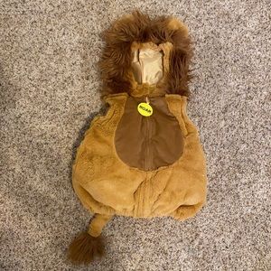 Cute lion costume